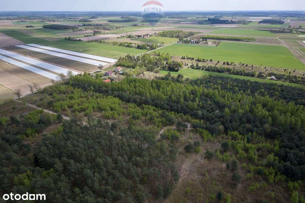Działki z wydanymi warunkami zabudowy w Ludwikowie - Pełny obrazek: 5/10