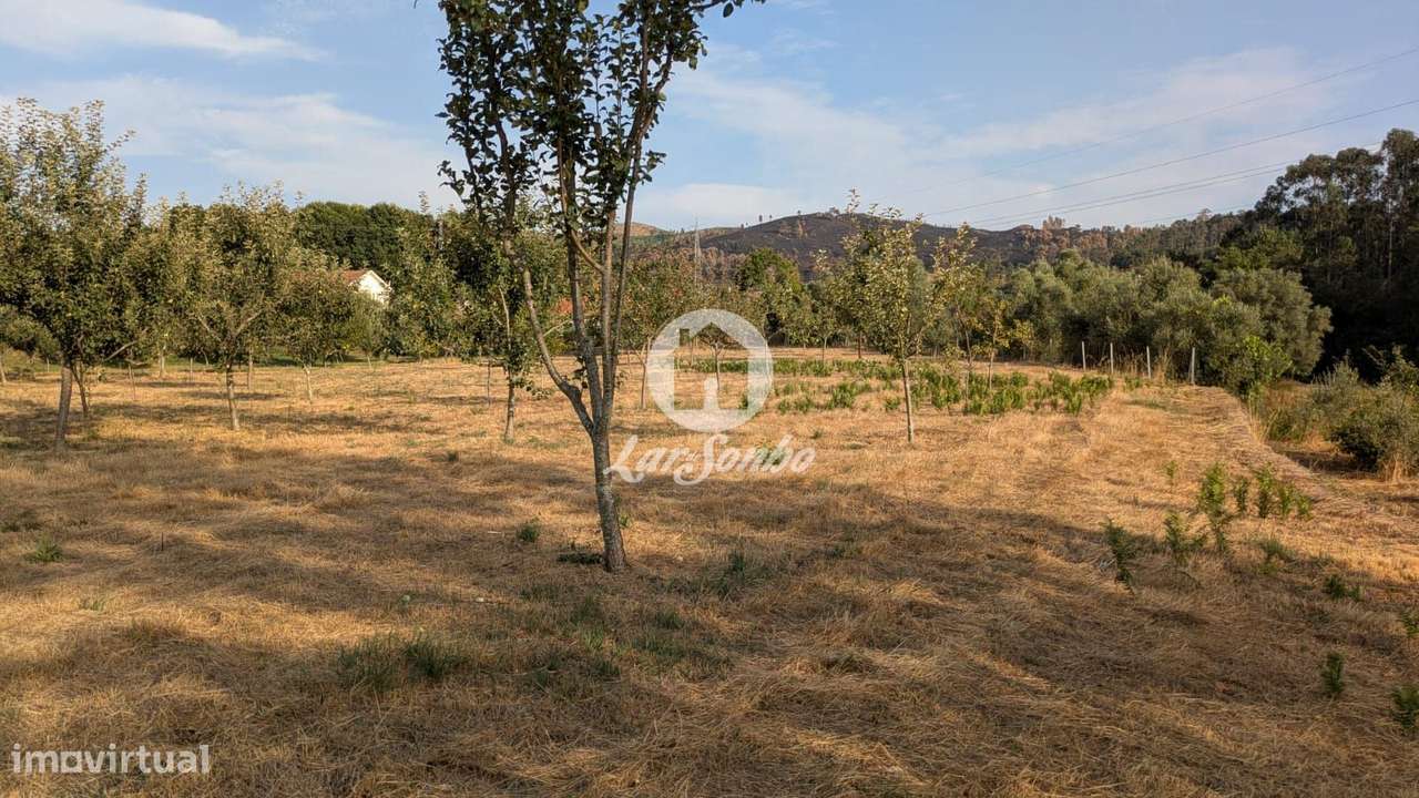 Terreno plano com 4.210m2 junto à cidade de Fafe - Grande imagem: 3/8