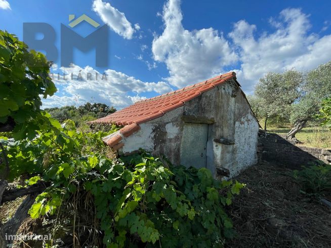 Moradia T2 Venda em Toulões,Idanha-a-Nova-18