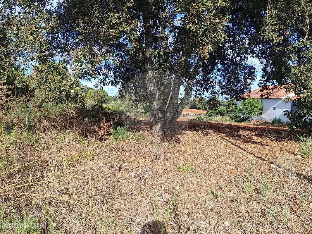 Terreno  para venda - Grande imagem: 4/16