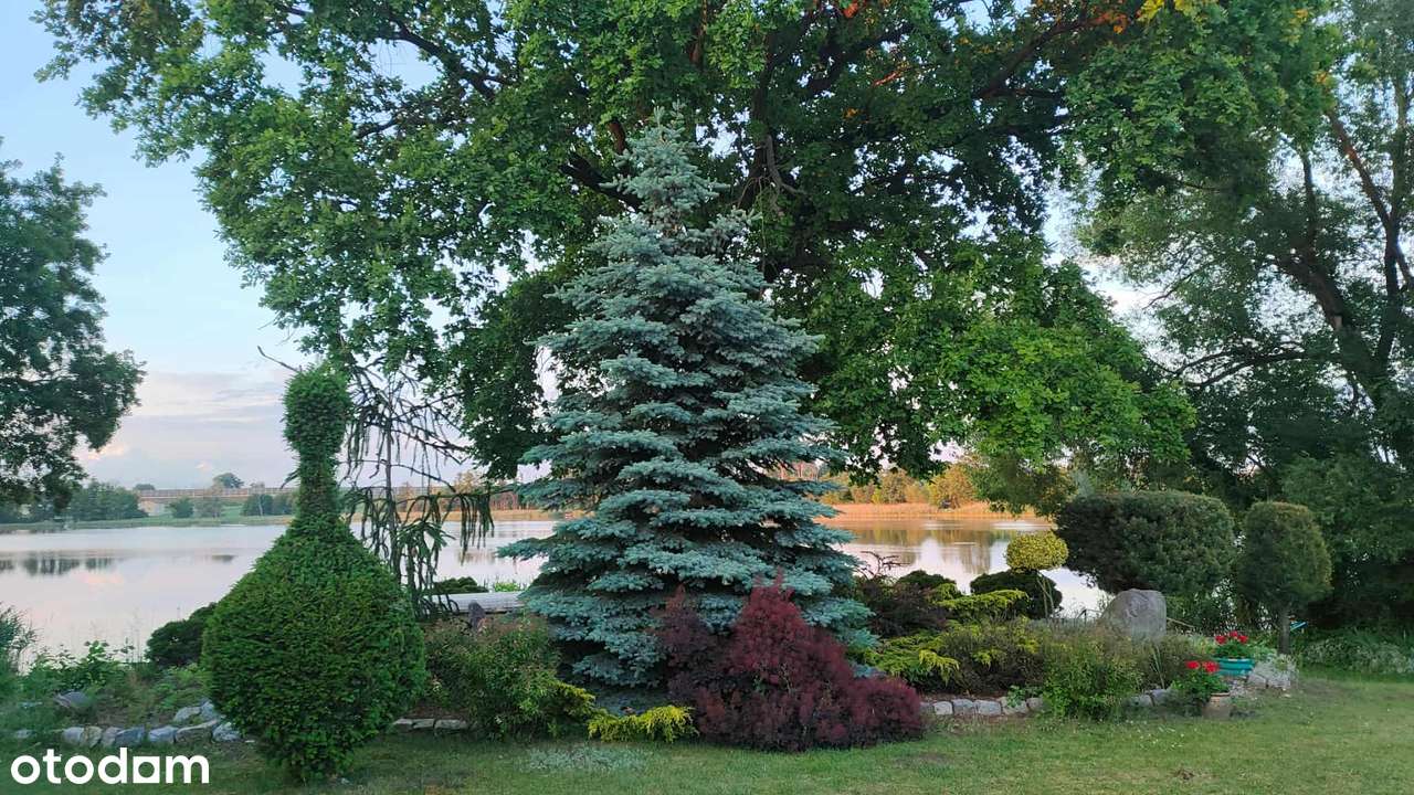 Niesamowita oferta Dom w Mościenicy przy Jeziorze Skrzyneckim - Pełny obrazek: 4/12