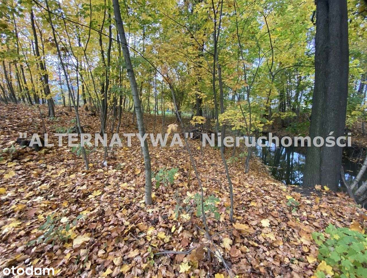 Wyjątkowa działka Mizerów-1