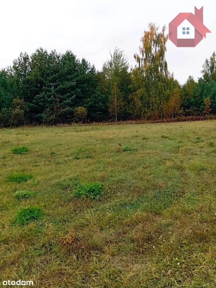 Działka 1726 m2 z prądem , Henryszew k/ Żyrardów-4