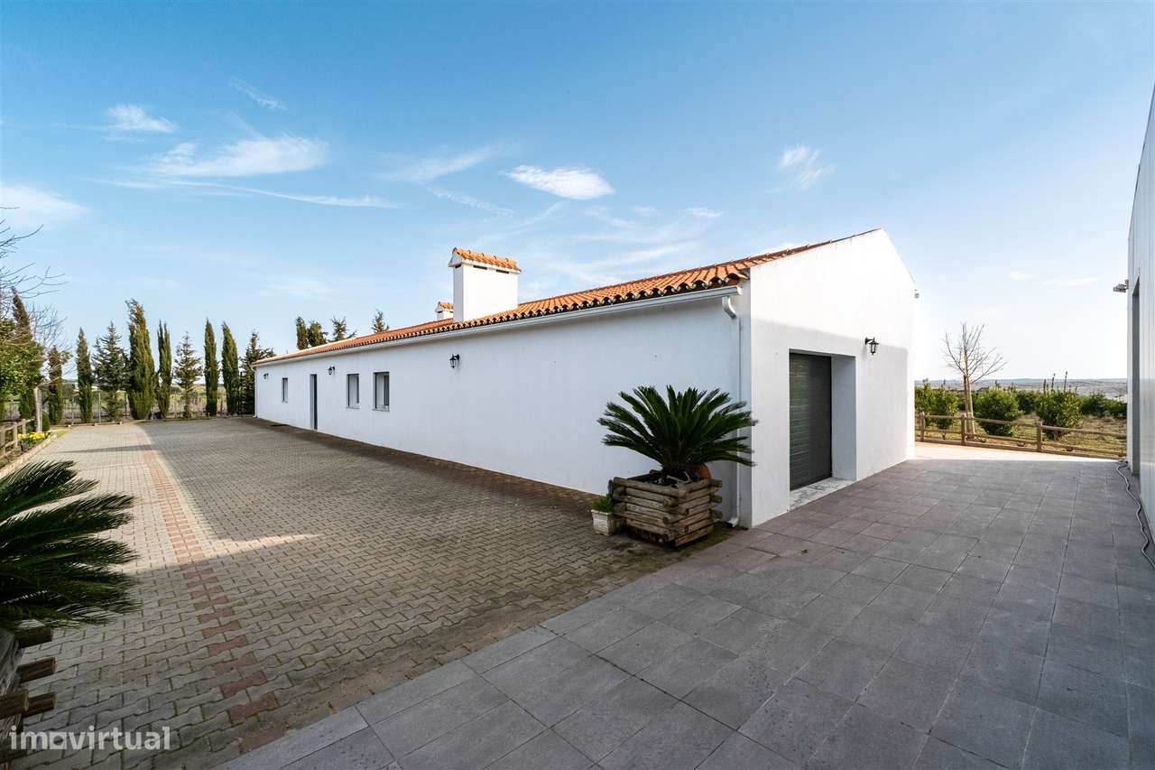 Quinta Biológica - Monte de Palma em Sao Manços com negócio.-49