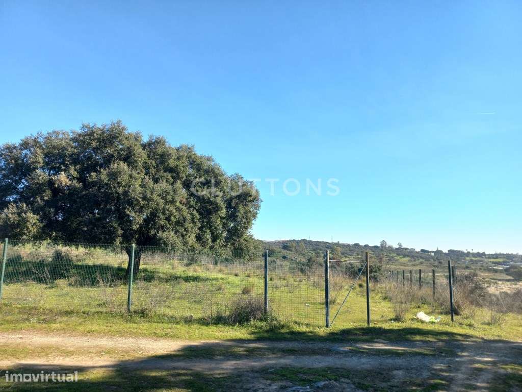 Terreno - Quinta, Investimento, 12 hectares e 844 m2 edificados, Évora-20