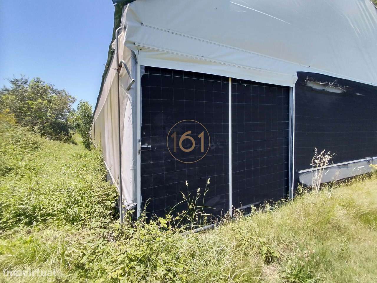 Terreno Urbano com Estufas - Grande imagem: 4/30