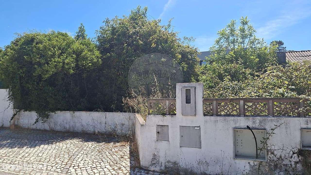 Terreno  para venda-3