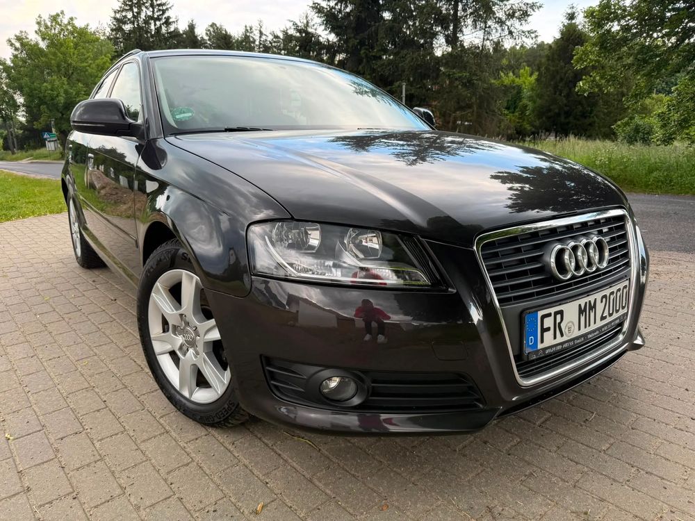 Audi A3 8P 1.6 Ambition 2009
