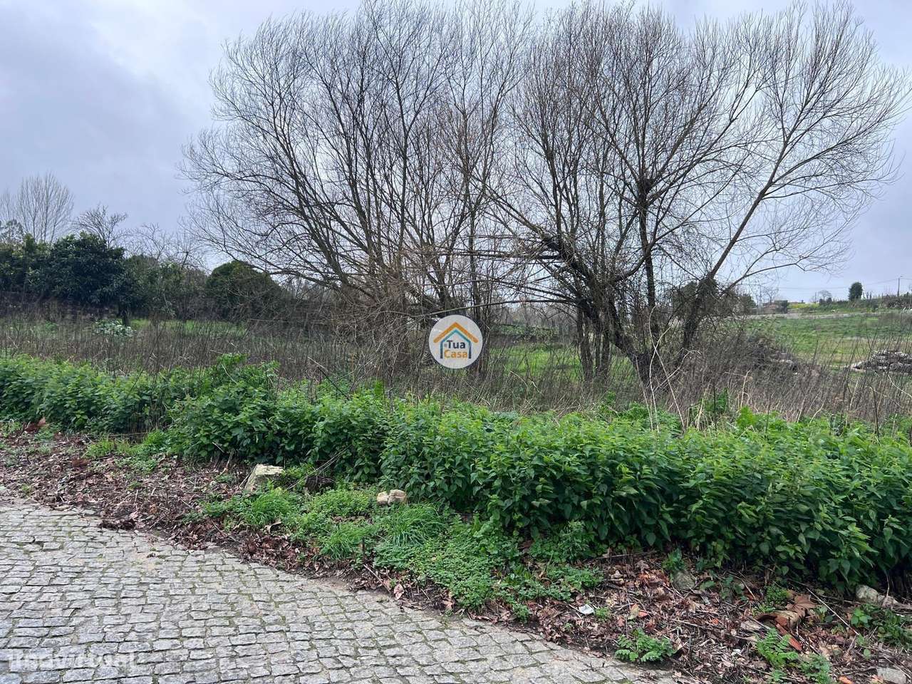 Terreno para Construção em Avintes – 1.600 m2 - Grande imagem: 5/18