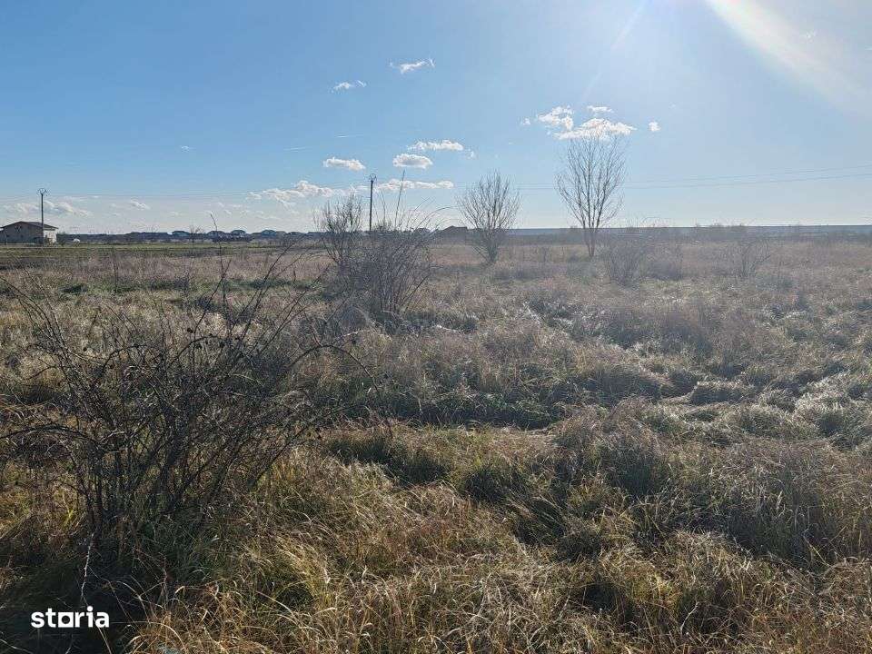 Teren Joita -  Bacu - Dragomiresti - Imagine principală: 4/15