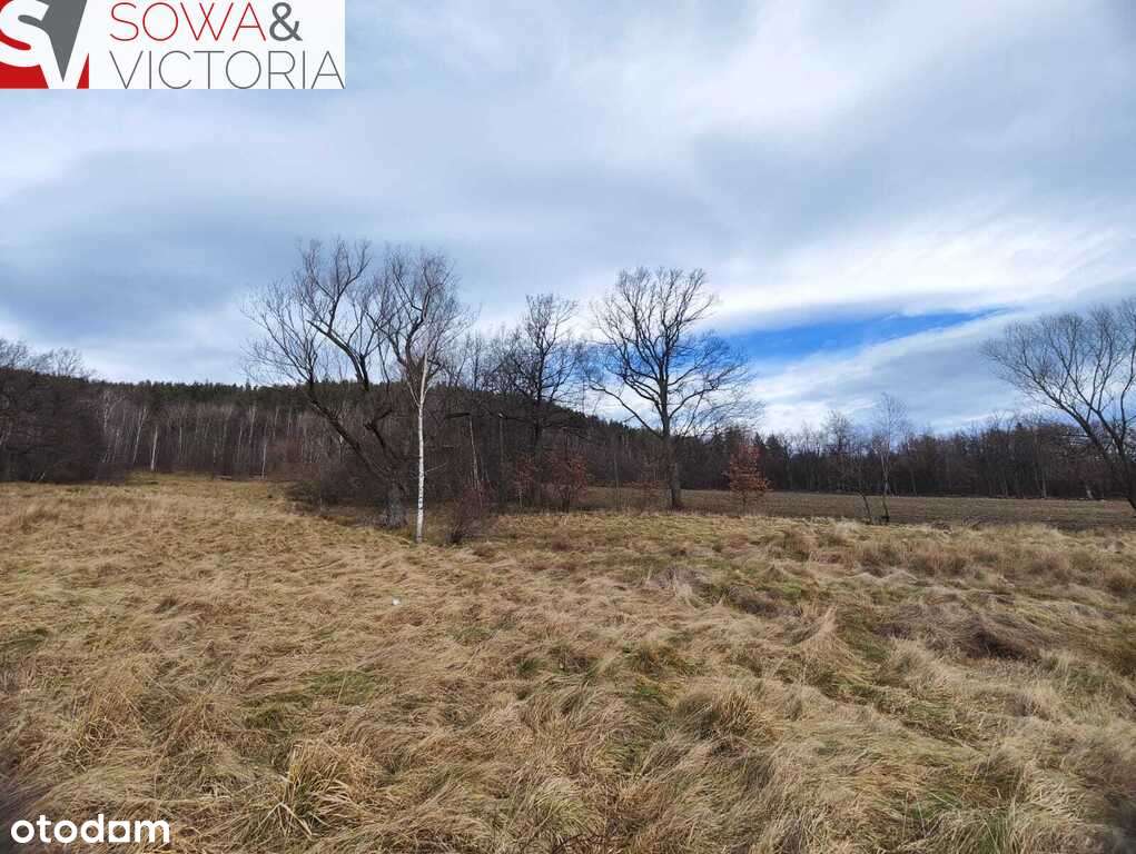 Działka budowlana z widokiem na Szrenice i Chojnik - Pełny obrazek: 5/6