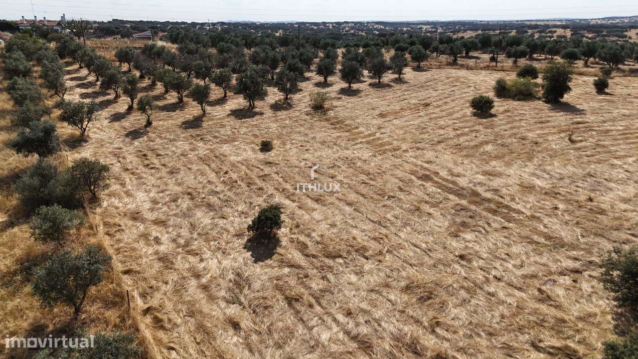 Oportunidade Única no Coração do Alentejo - Monte com Ruína Próximo da - Grande imagem: 3/11