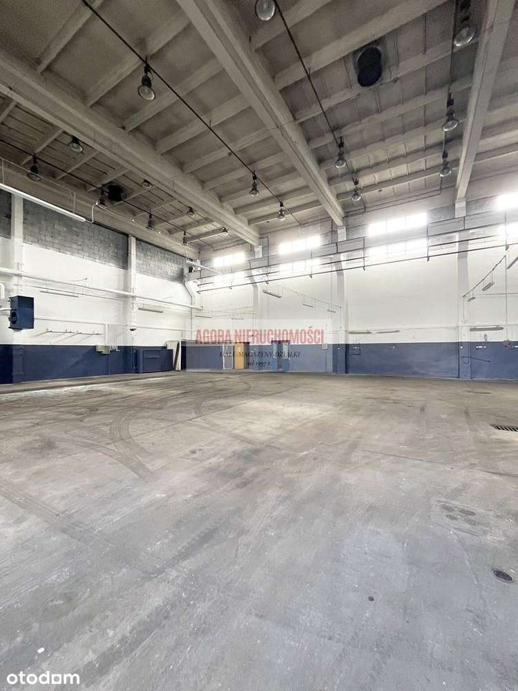 Hala Produkcja Magazyn 750 m2 Czyżyny Tir - Pełny obrazek: 2/4