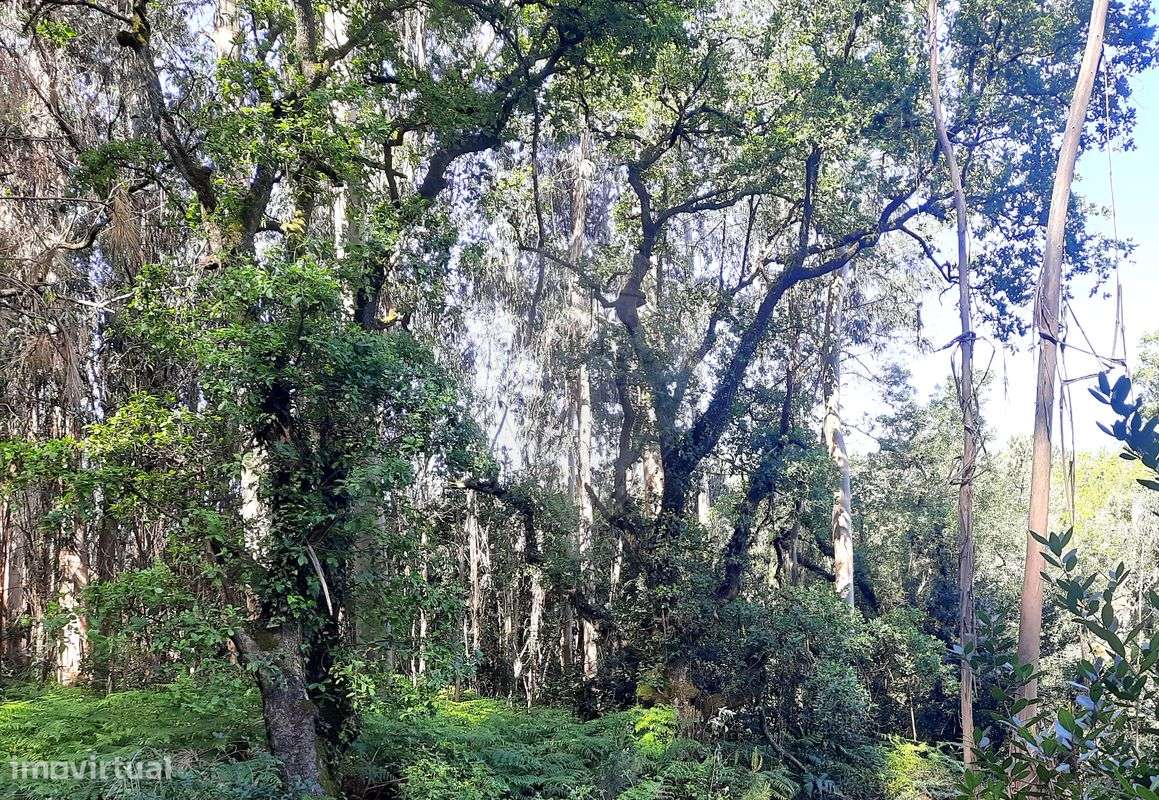 Terreno  para venda - Grande imagem: 3/3