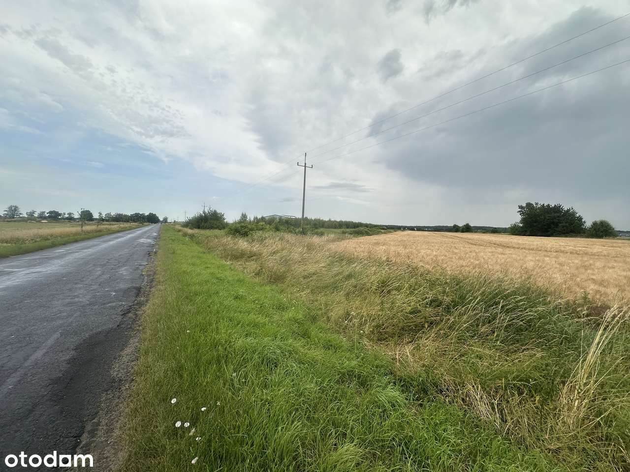 Działka inwestycyjna z ogromnym potencjałem - Pełny obrazek: 4/5