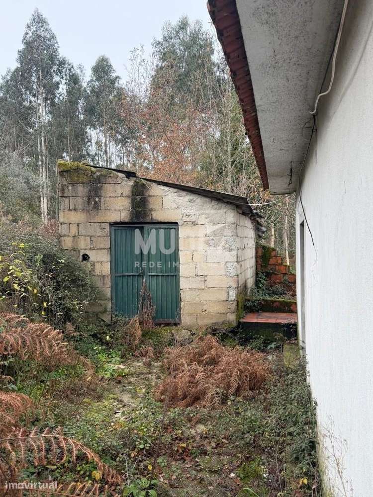 Moradia T1 em São João do Monte, Tondela - Grande imagem: 4/14