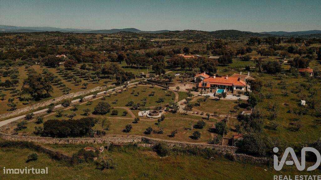 Quinta T6 em Idanha-a-Nova e Alcafozes de 474,00 m2 - Grande imagem: 1/30