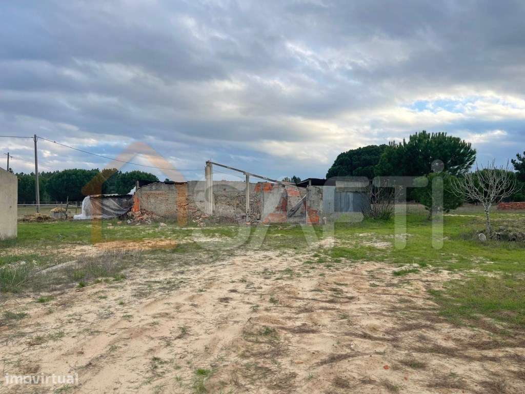 Quinta com duas moradias por recuperar em Grândola - Grande imagem: 2/10