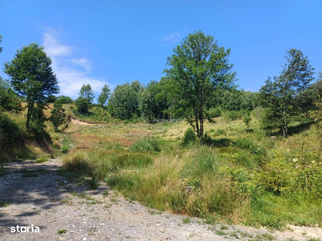 Teren Intravilan in zona Trei Ape, 6889 Mp., 14,5 EuroMp., Brebu Nou - Imagine principală: 4/14