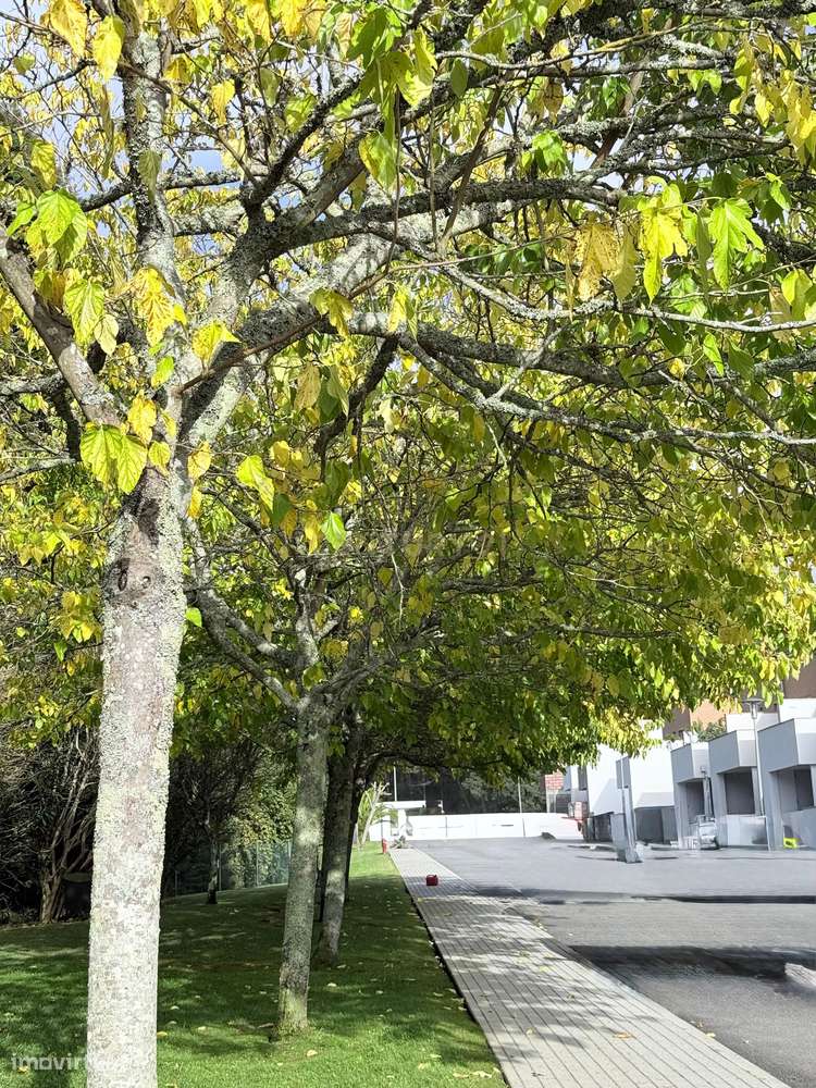 Moradia T3 com suite master, em condomínio de prestígio – Estrada Real-6