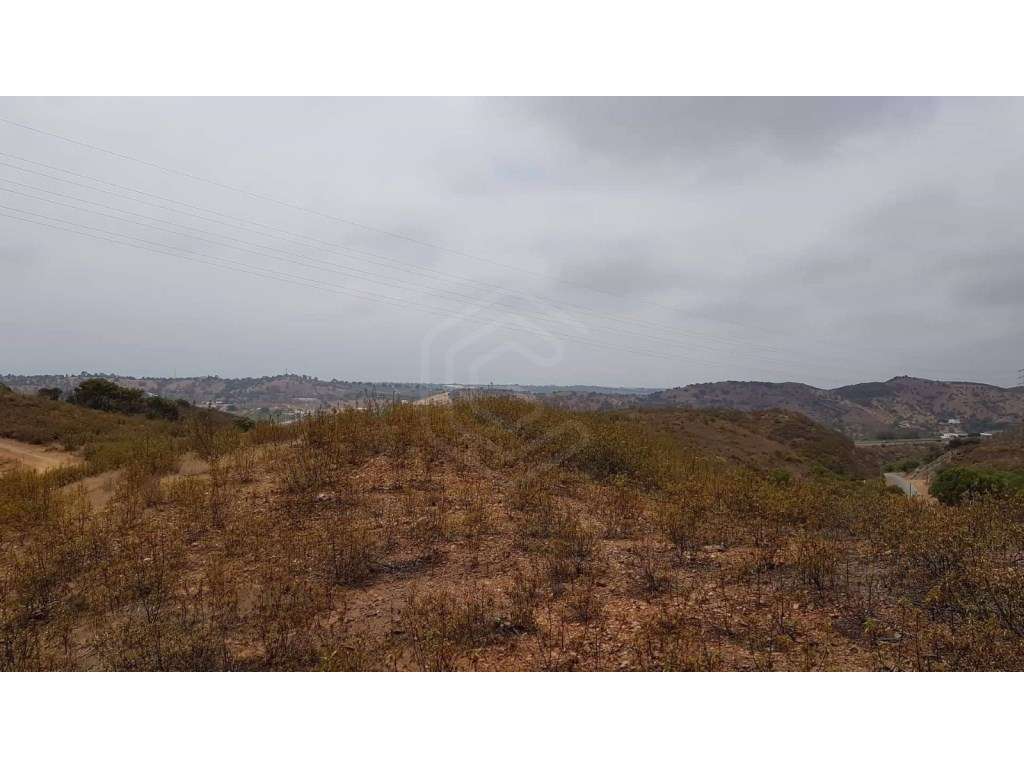 Terreno rústico em Tavira, Algarve - Grande imagem: 3/19