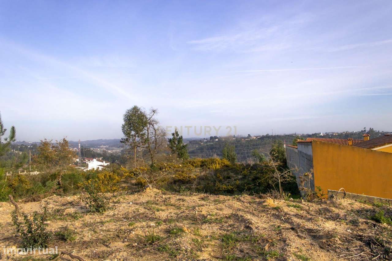 Terreno em Mata dos Milagres || Leiria - Grande imagem: 5/13