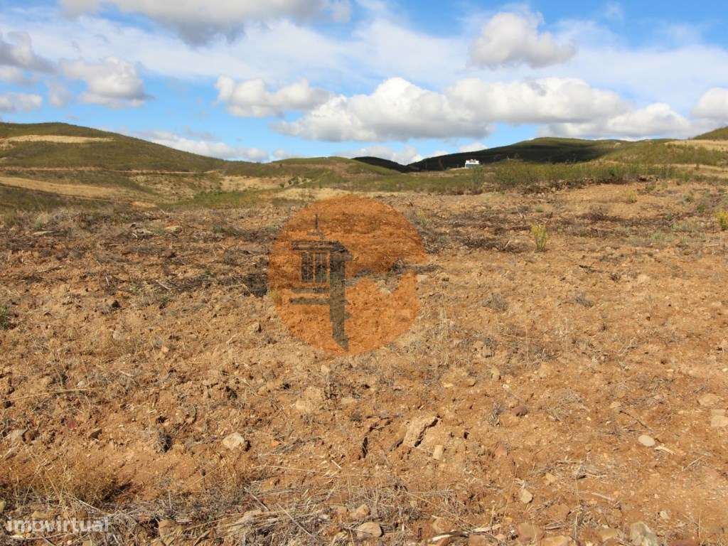 Terreno Rústico, Cotovio - Grande imagem: 3/12