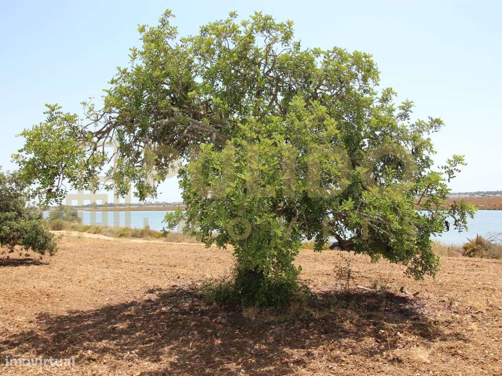 Quinta em Castro Marim a 5km da praia-26