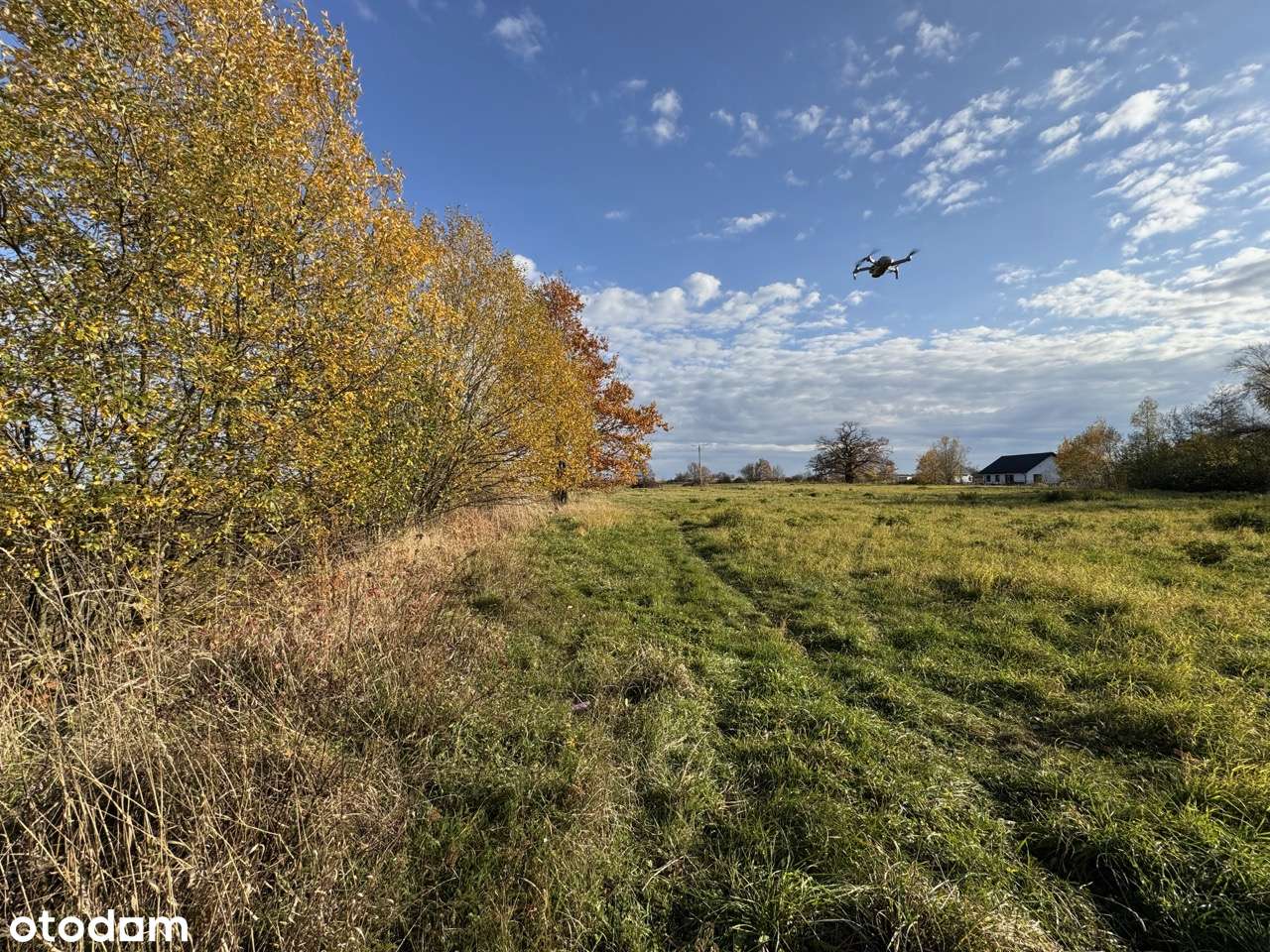 Działka budowlana przy głównej drodze Pieszyce | Prywatność-8