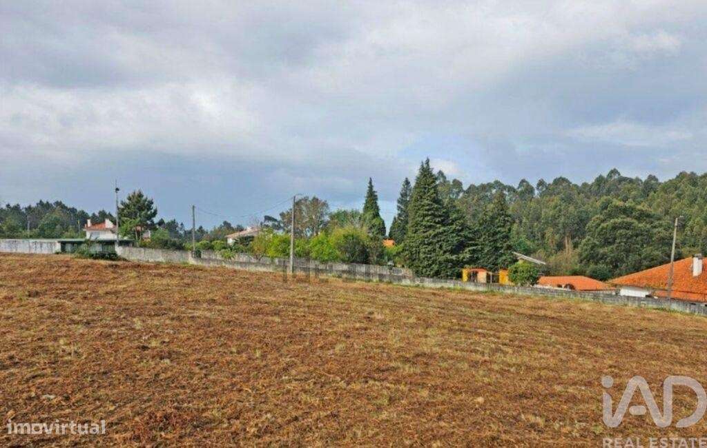 Terreno para construção em Anha de 690,00 m2 - Grande imagem: 4/30