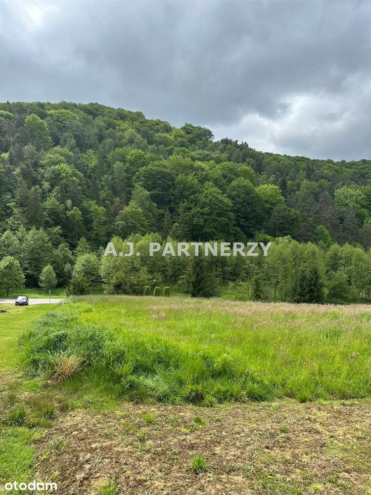 Działka budowlana 31 ar koło Łapanowa-1