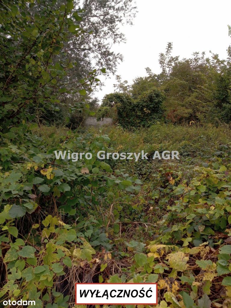 Kępa Kiełpińska 3200 m2 - rolna