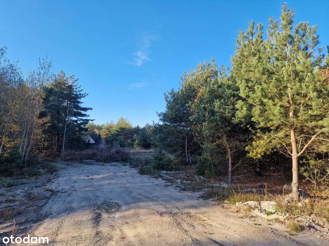 Działki | Budowlane | w Lesie | Krubin  -| - Bieńki - - Pełny obrazek: 5/11
