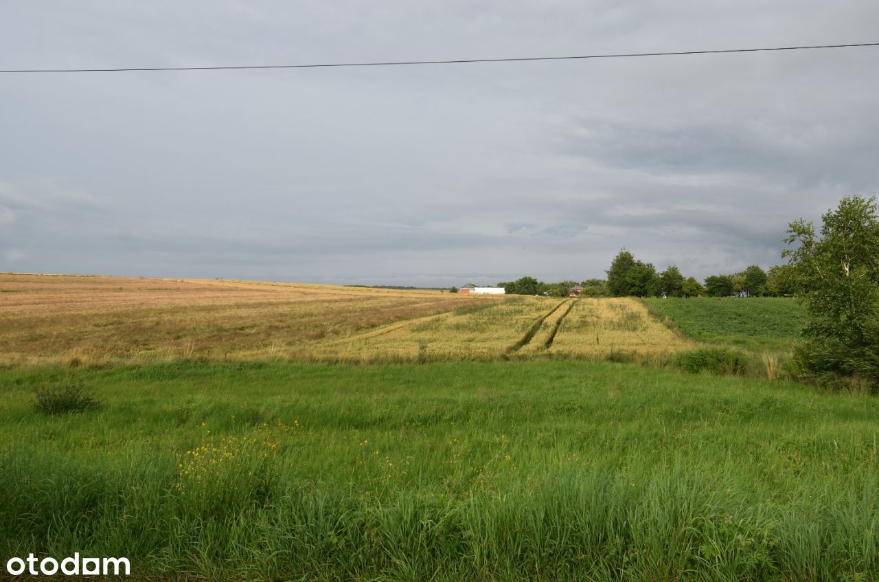 Rolno-budowlana, żyzna gleba.Cicha, zielona okolic