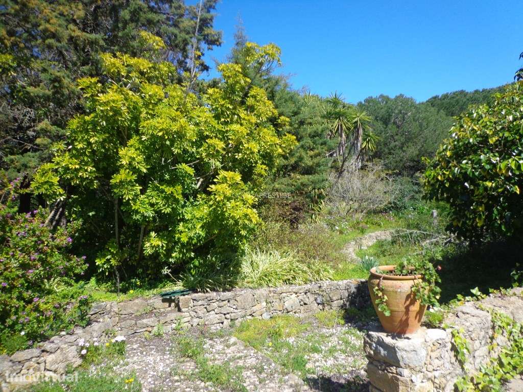 Quinta T7 localizada na localidade do Boco/Igreja Nova, concelho de... - Grande imagem: 4/33