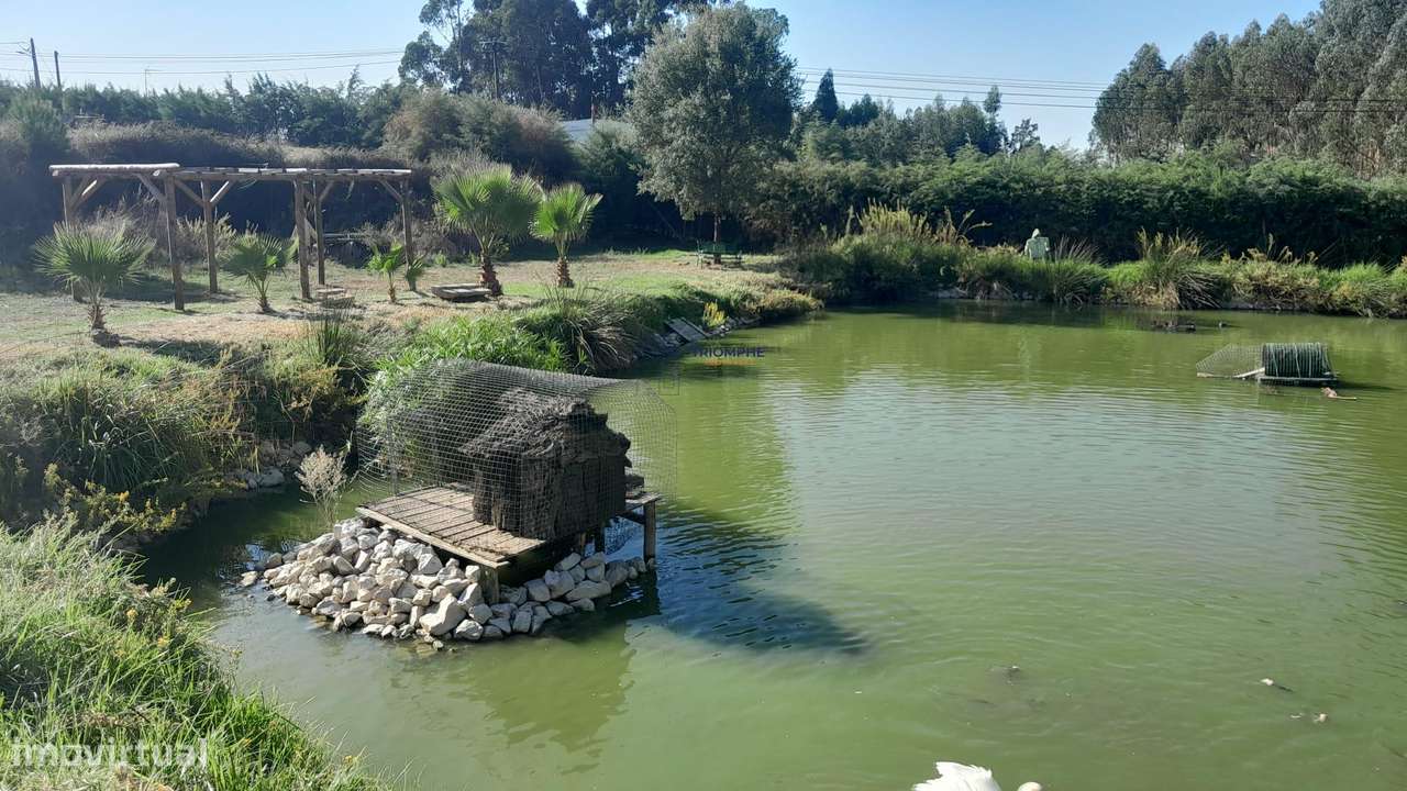 Quinta 20.800m2 e Lago, C/ Projeto Aprovado P/ Moradia, Piscina e 4 T1 - Grande imagem: 3/20