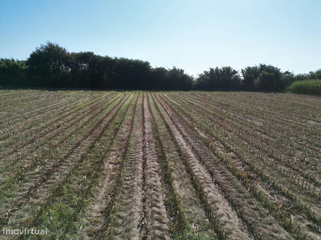 Terreno Rústico com 2,5 Hectares | Zona do Rio Alto – Estela, Póvoa de - Grande imagem: 3/24