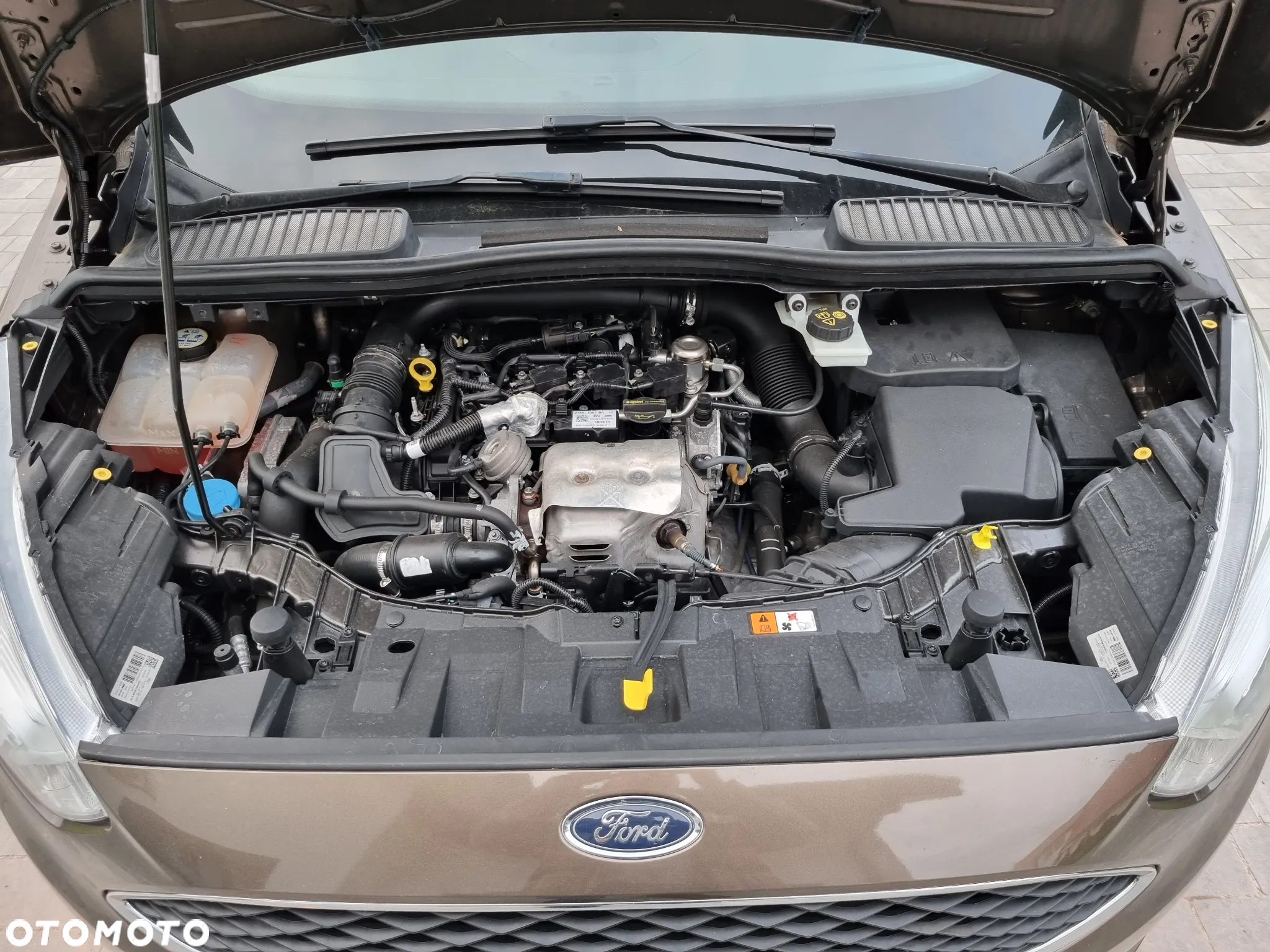 Ford C-MAX 1.0 EcoBoost Start-Stopp-System Trend - 20