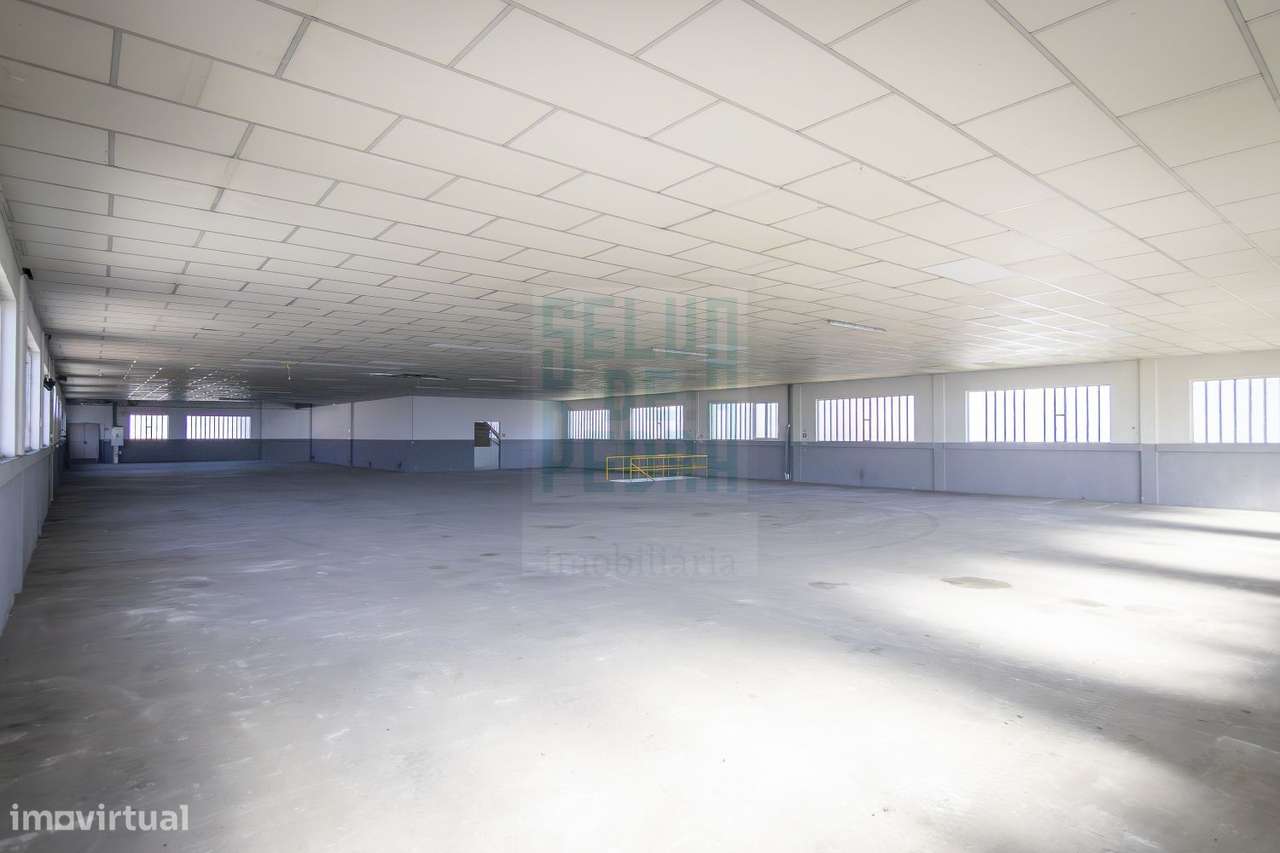 Armazém em S. Romão do Coronado - Grande imagem: 3/22