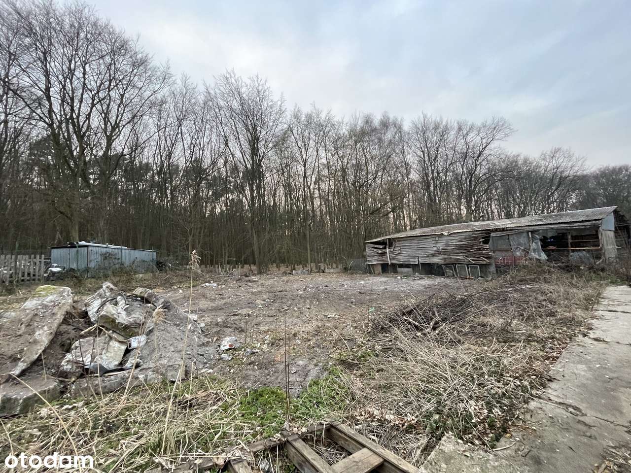 Wynajmę teren ok 800 m2 - Pełny obrazek: 5/6