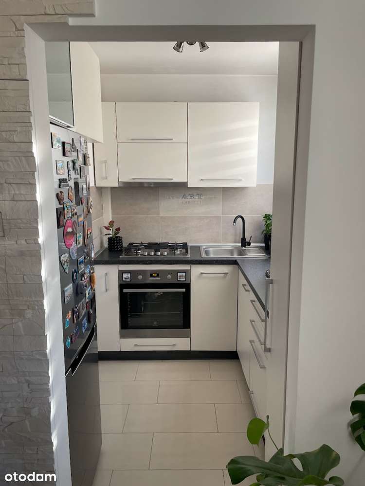 Komfortowe M3 w idealnej lokalizacji - Dąbrowa - Pełny obrazek: 5/11