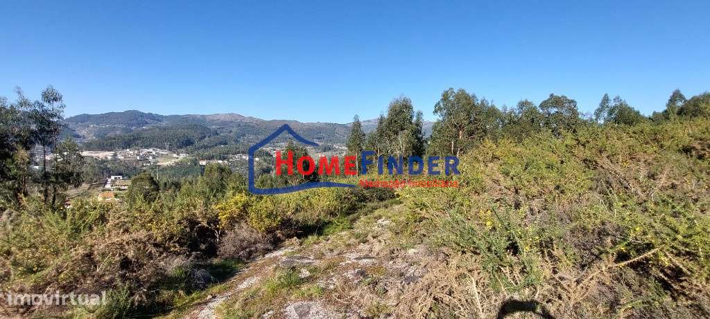 Bouça com 15.000 m² - Póvoa de Lanhoso - Grande imagem: 5/20