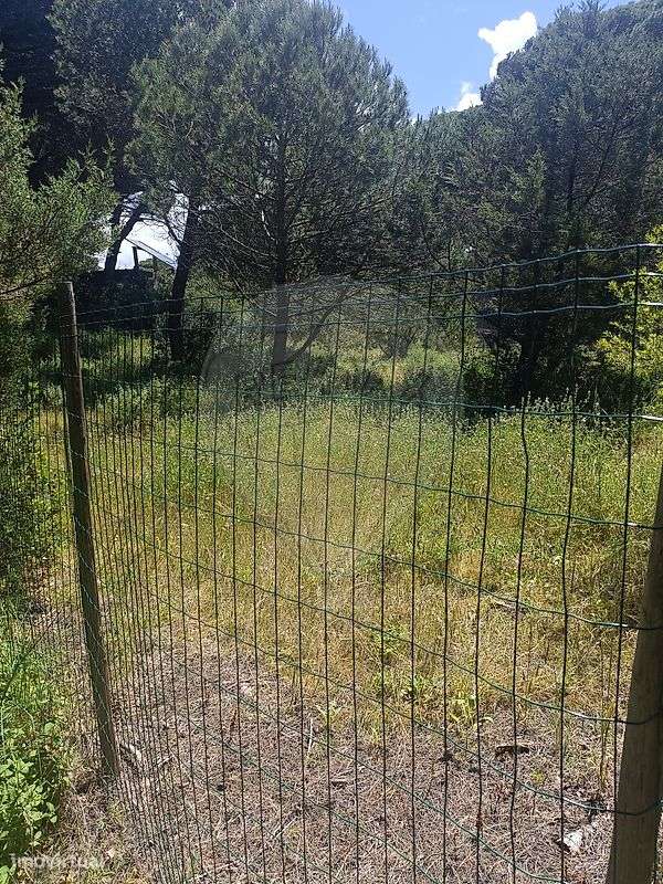 Terreno  para venda-4