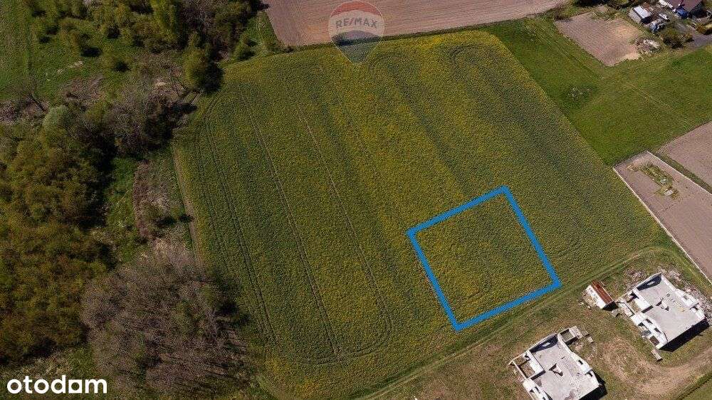 Działka Budowlana Czarków/Pszczyny - Pełny obrazek: 4/8