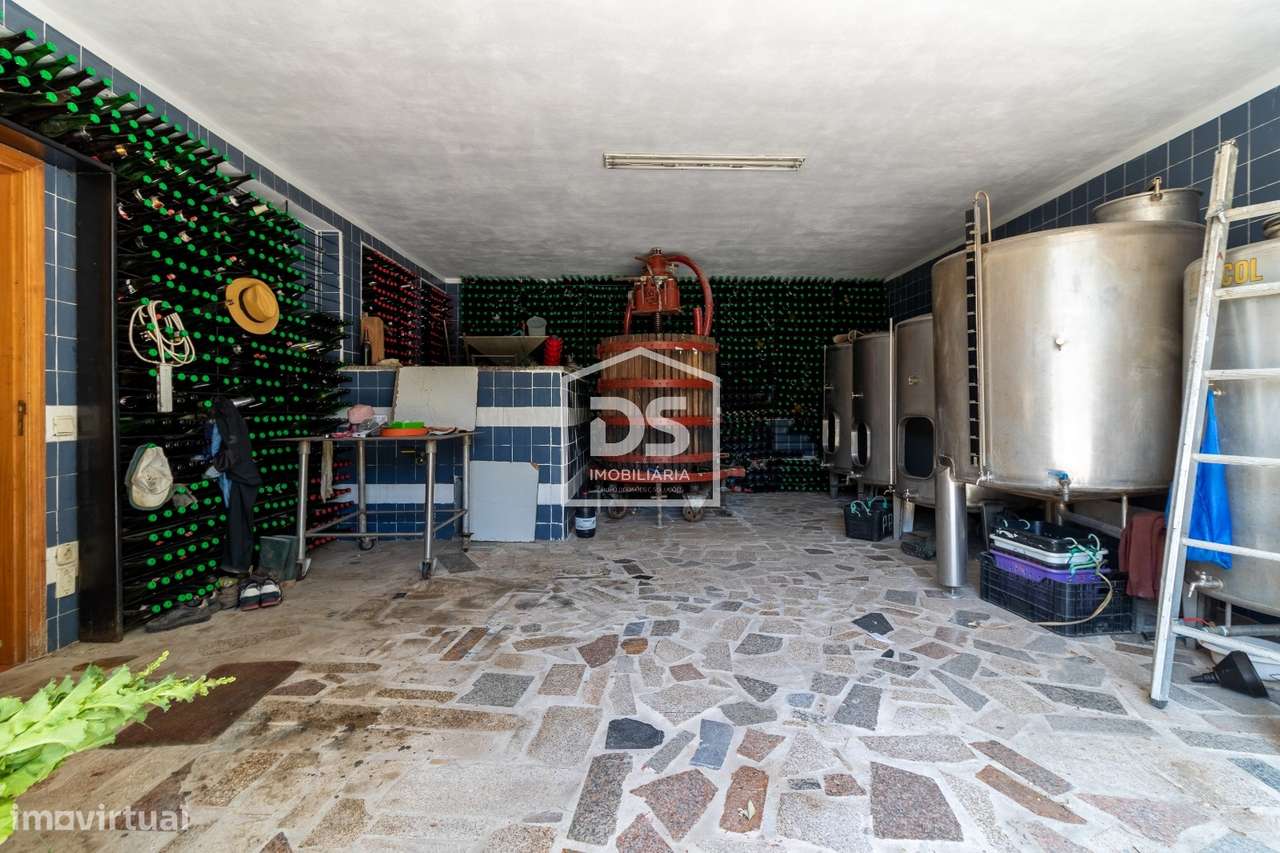 Quinta com Vinha e Produção de Vinho – Freixo de Baixo, Amarante-34