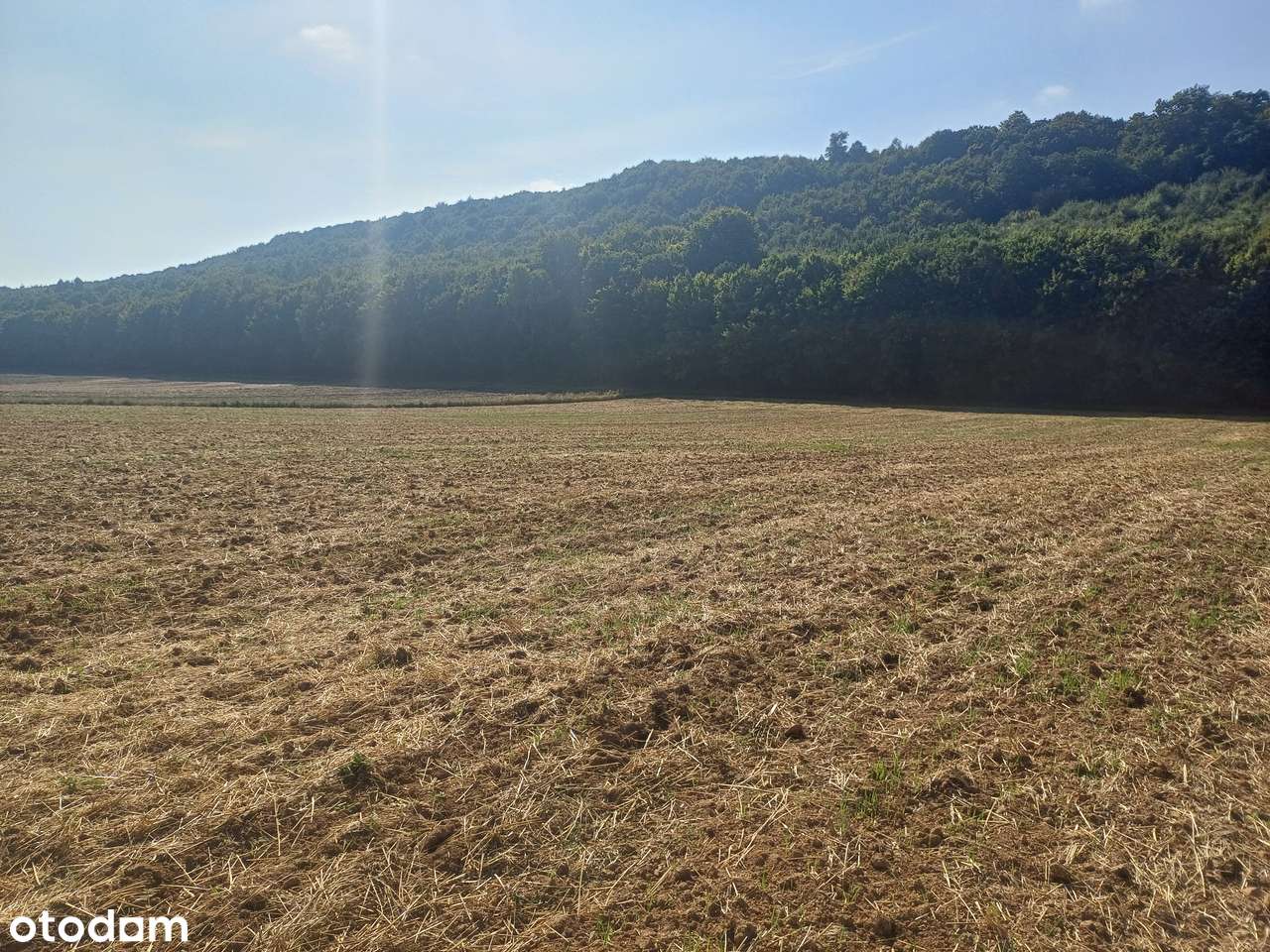 Działki rolne na sprzedaż - Klonów, gm. Racławice-4