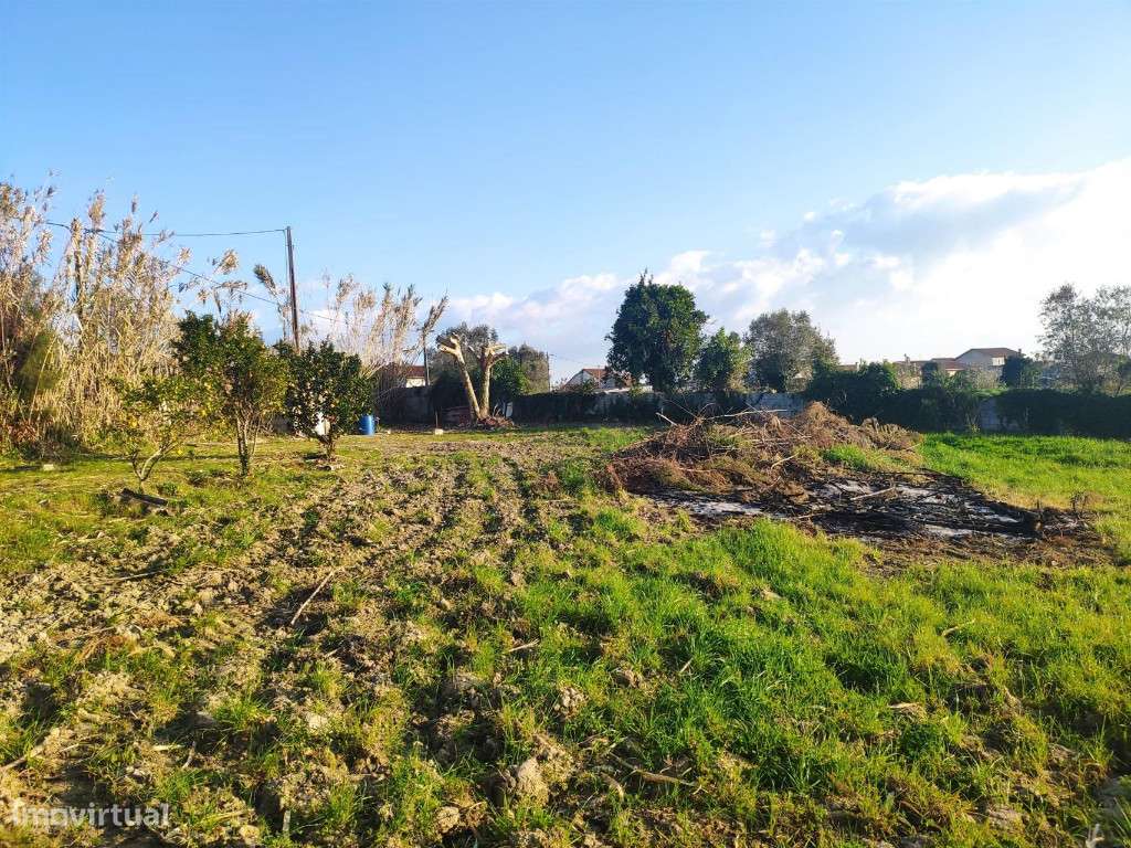 Terreno para construção, São Martinho da Árvore - Grande imagem: 3/10