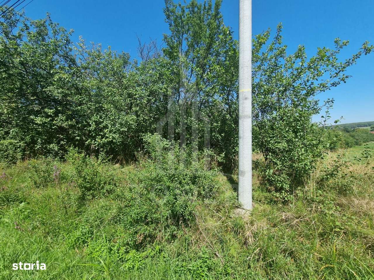 EXCLUSIVITATE! Teren la șoseaua principală | Tocile - Imagine principală: 5/8