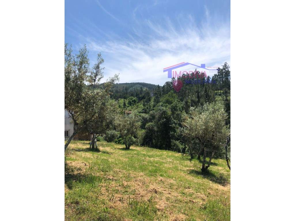 Terreno Rústico com uma área total de 22800m2. - Grande imagem: 3/13