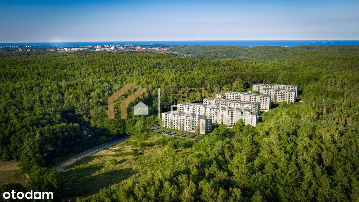 Inwestycja w środku lasu! - Pełny obrazek: 1/5